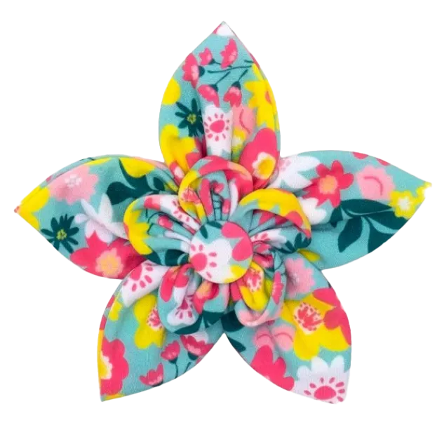 Collar Flower | Spring Bouquet