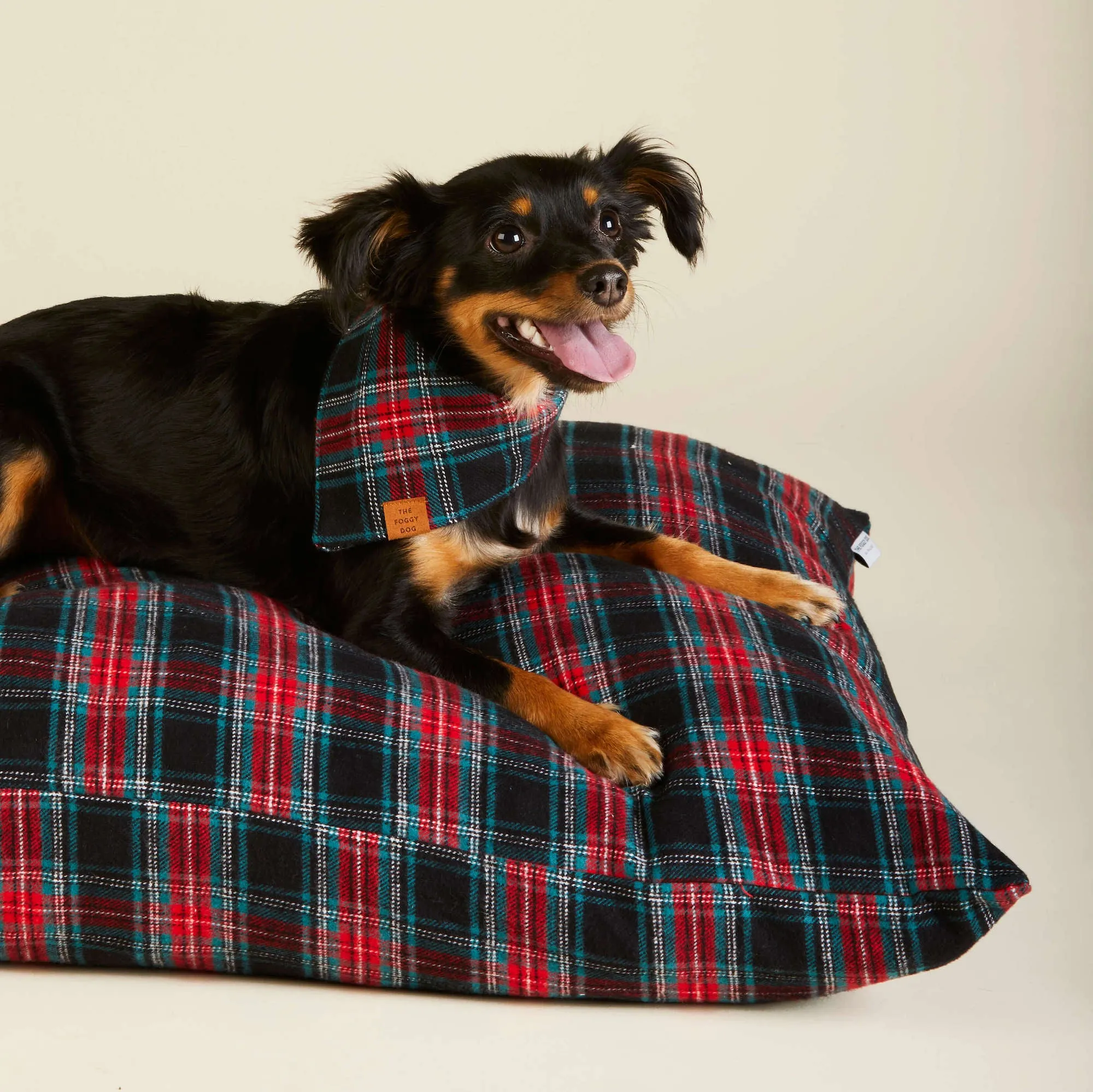 Draper James x TFD Georgia Plaid Dog Bandana