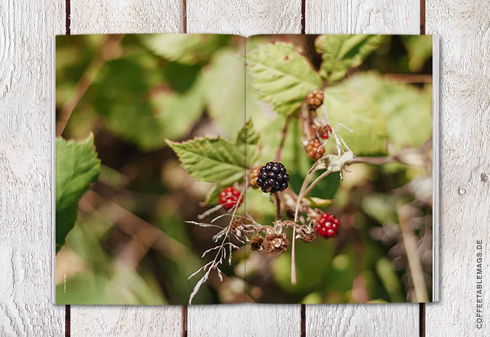 Magazine F – Issue 10: Berry