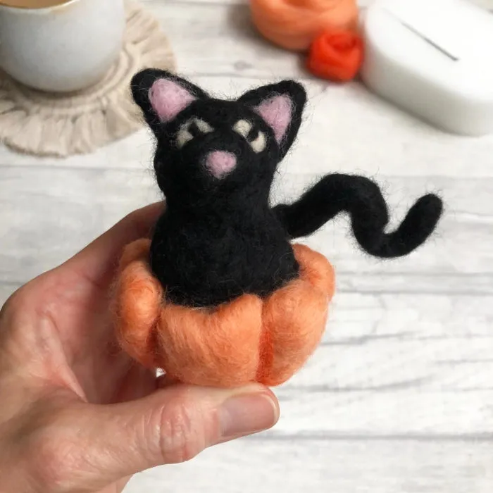 Needle Felting Kits