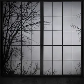 Ominous View